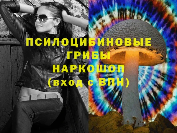 ALPHA-PVP Осинники