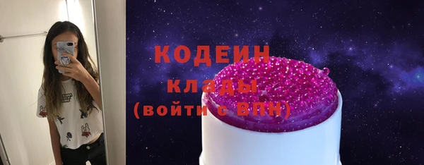 шишки Елизово