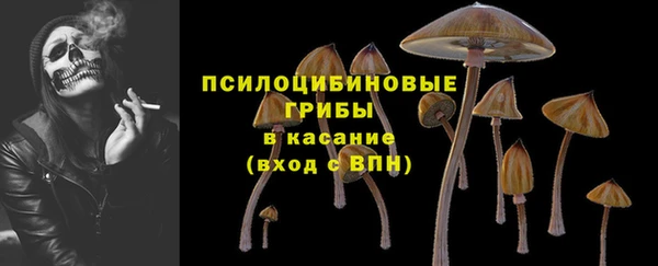 гашиш Болотное