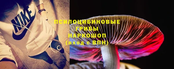 гашиш Болотное