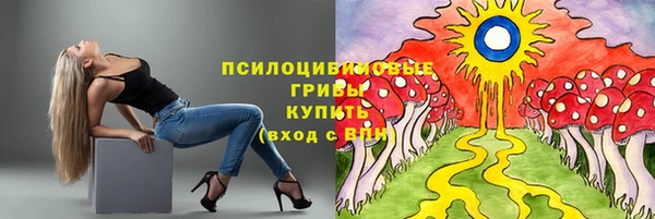 ешки Болохово